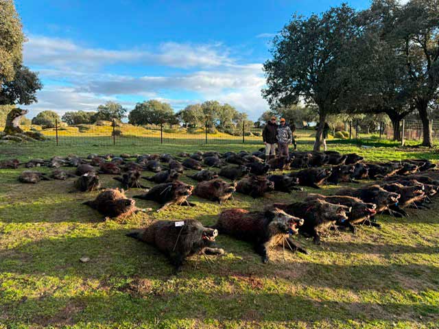 Monteria en La Dehesa